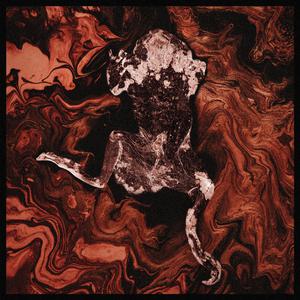 无码成人精品区一级毛片
